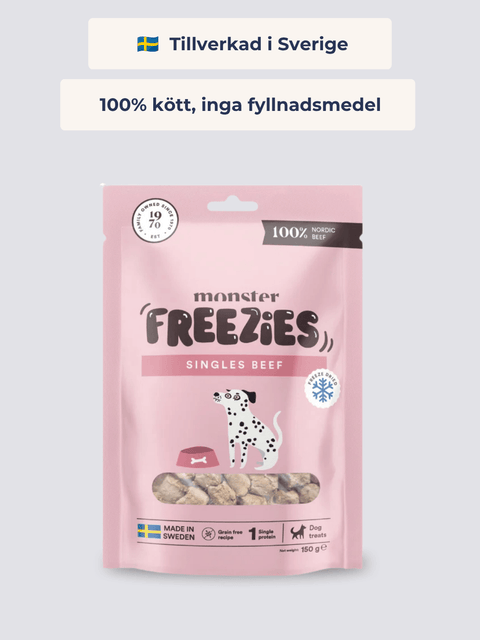 Frystorkat Hundgodis Biff