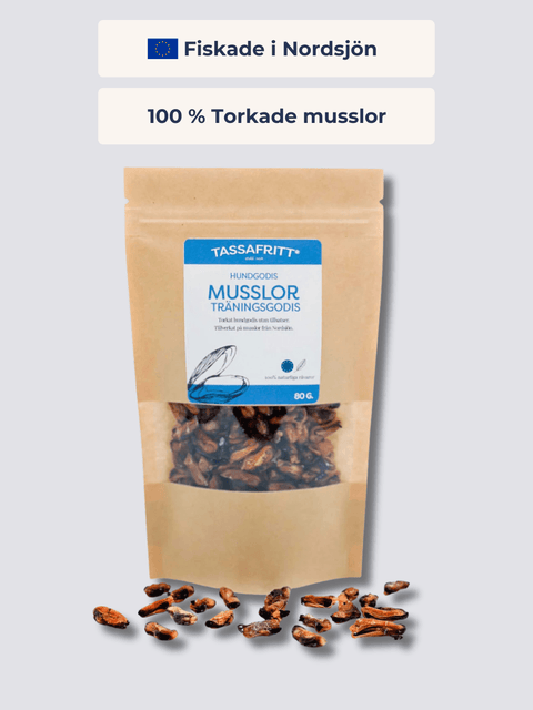 Torkade Musslor