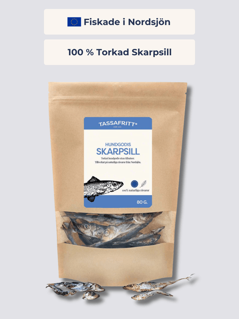 Skarpsill
