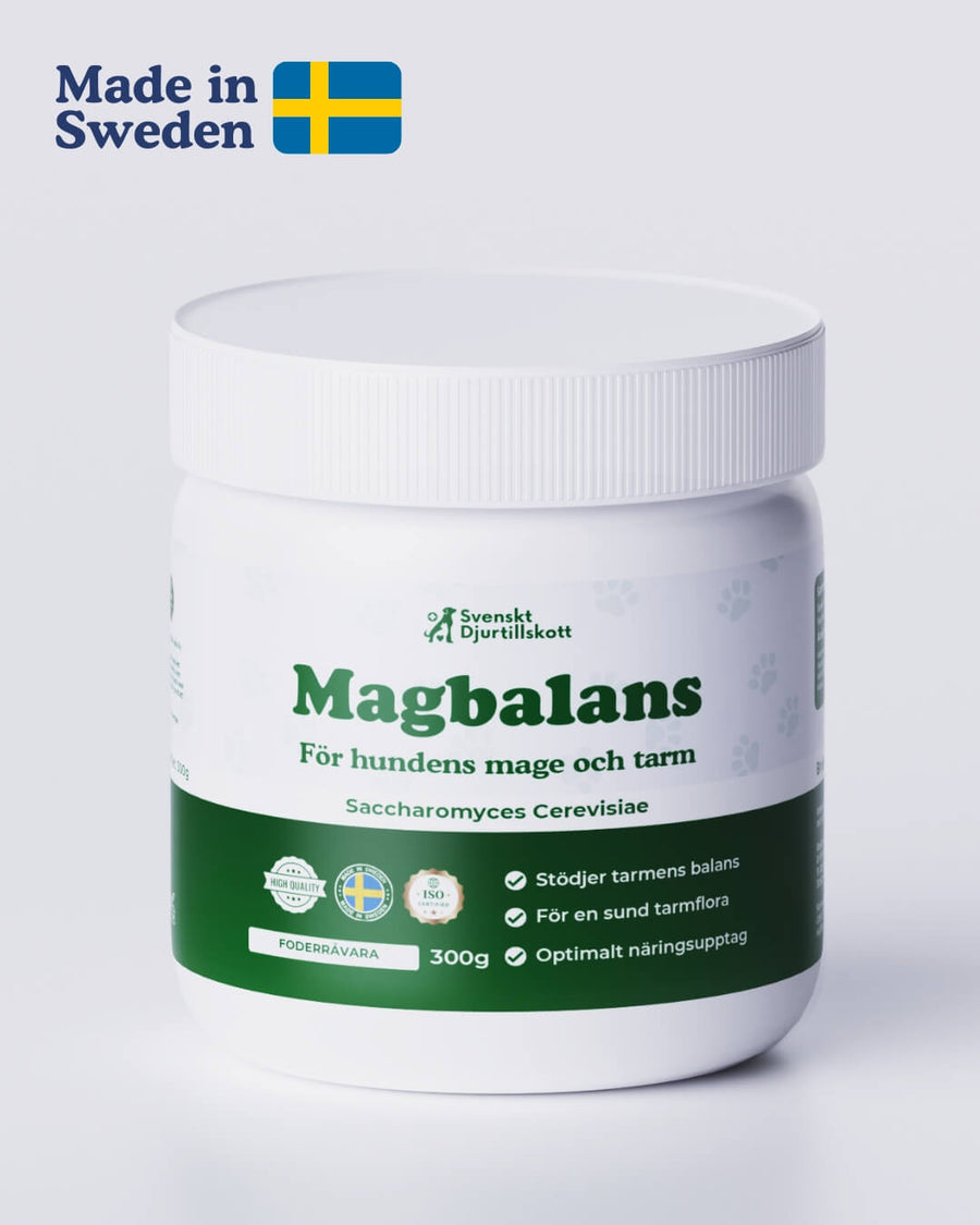 Magbalans