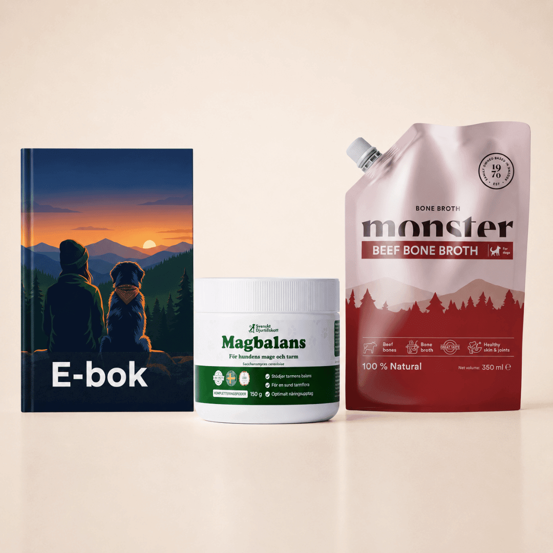 Mage-startpaketet med e-bok
