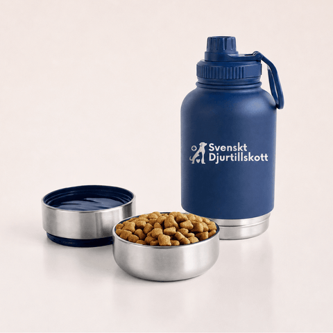 3-in-1 Water Bottle for Dogs