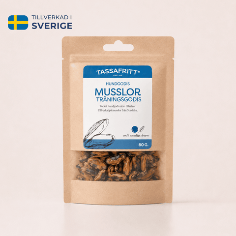 Torkade Musslor
