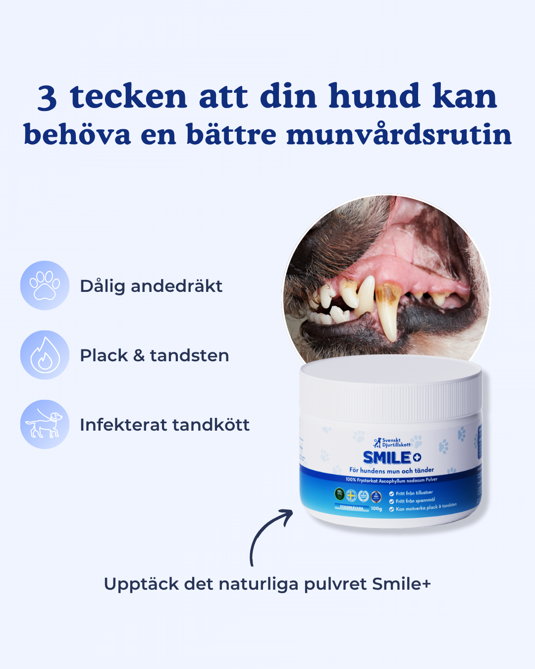 SMILE+ Pulvret för din hunds mun och tänder