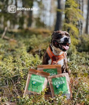 Nötlever 150g – Naturligt och Hälsosamt Hundgodis