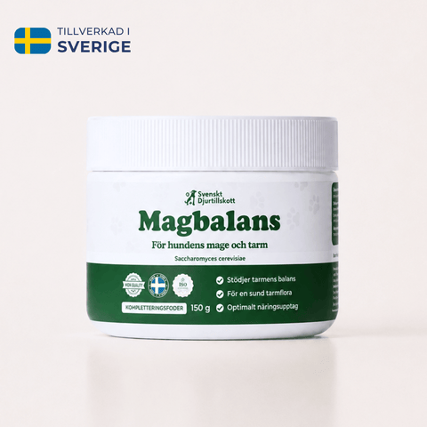 Magbalans