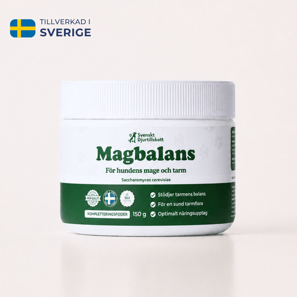 Magbalans - Prebiotika för hundens mage
