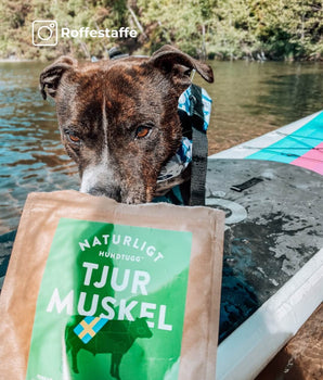 Tjurmuskel 3-pack - Hundtugget som Varar Längre!