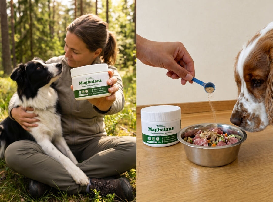 10 skäl varför hundägare byter till det här dagliga tillskottet för en lugnare mage