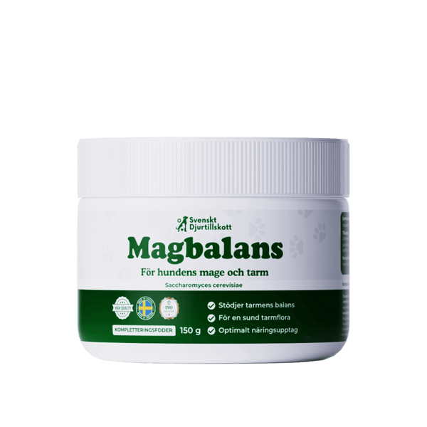 Magbalans