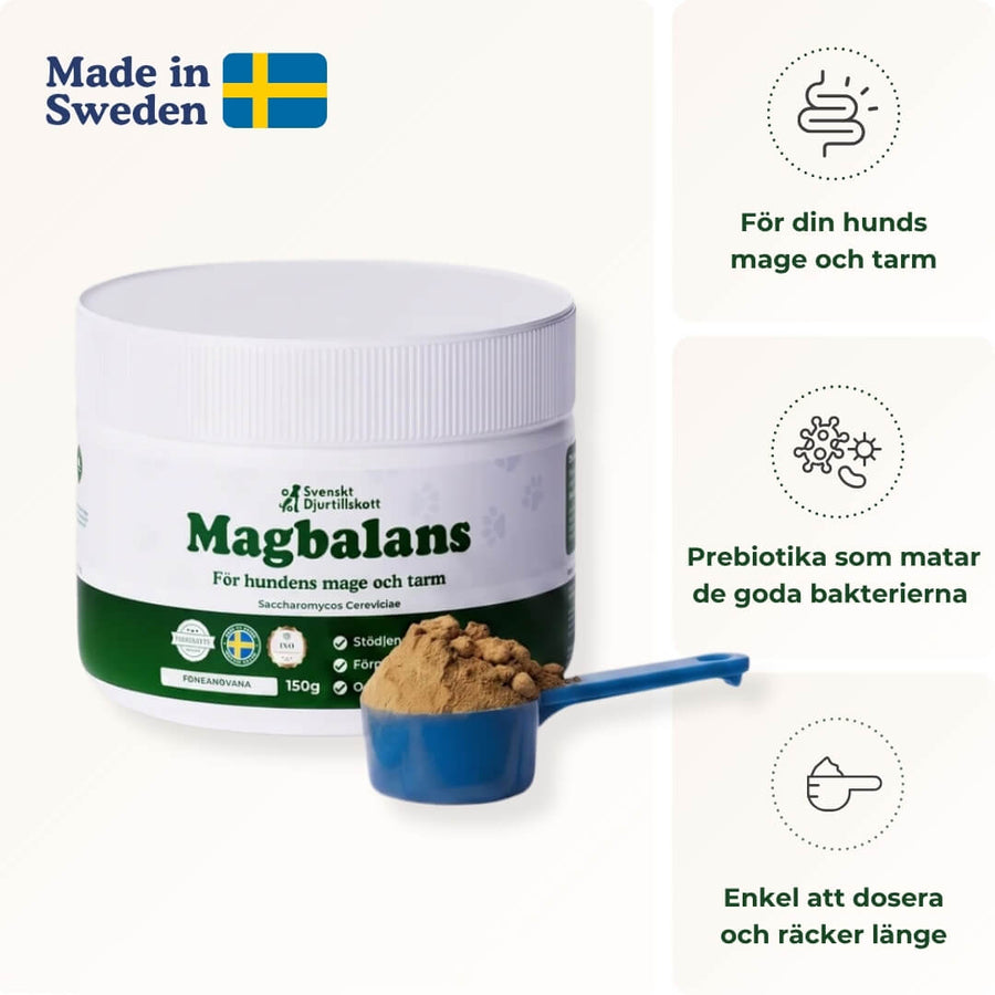 Redo att ge magen en enklare rutin?