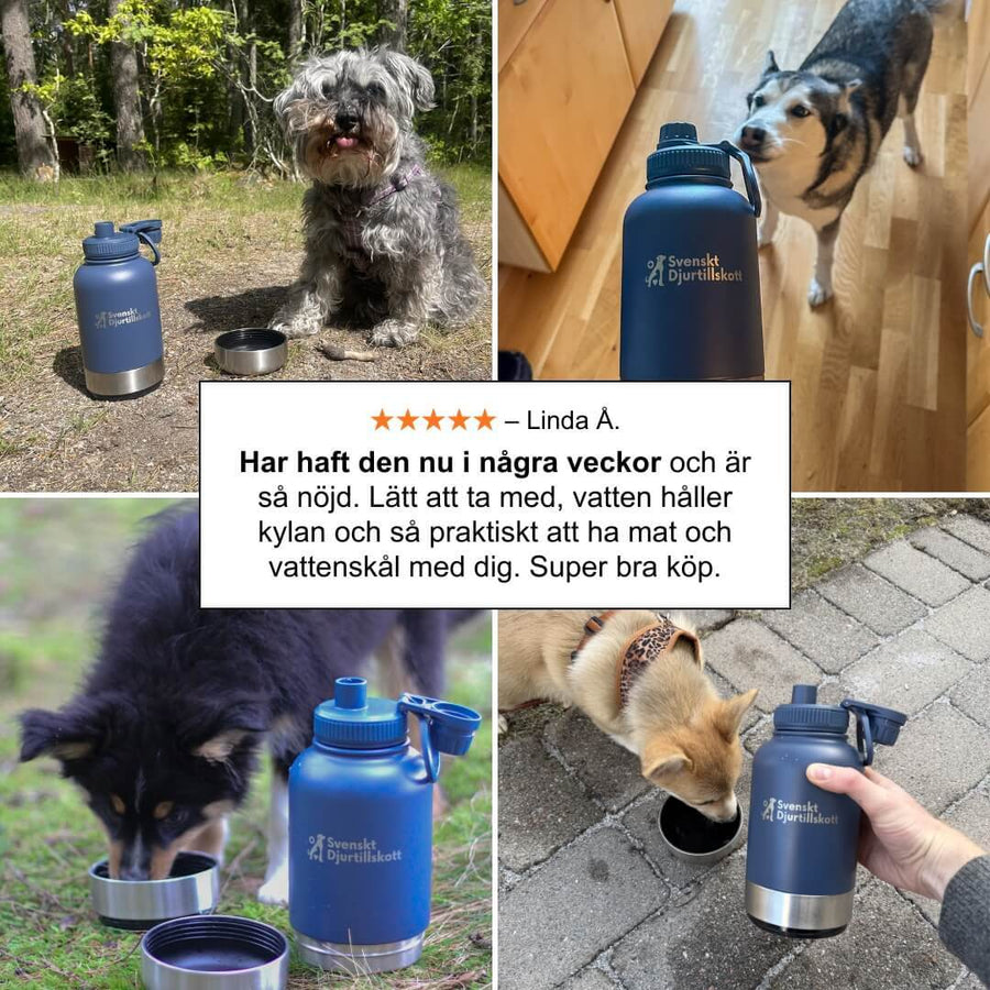 Så använder du den – 3 steg