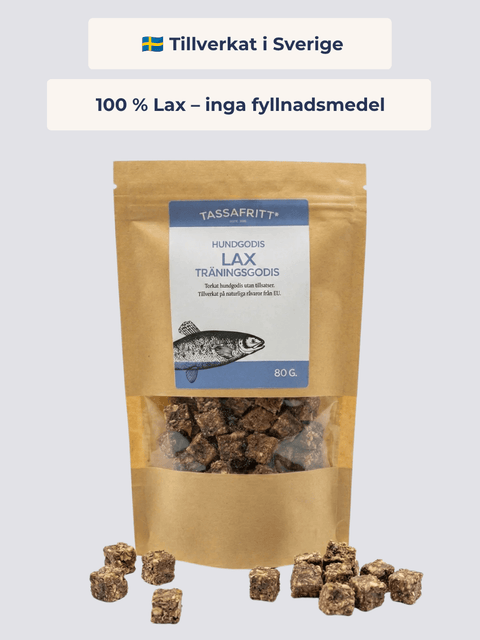Hundgodis Lax