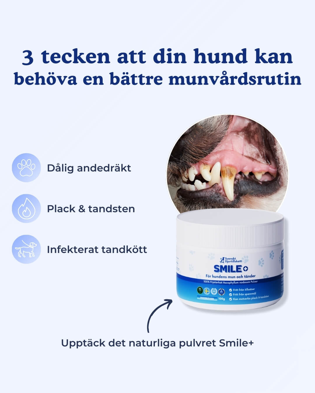 SMILE+ Pulvret för din hunds mun och tänder