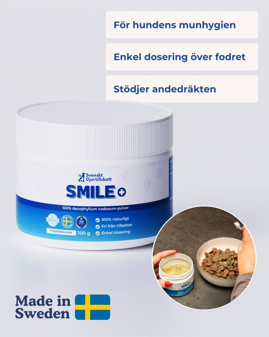 SMILE+